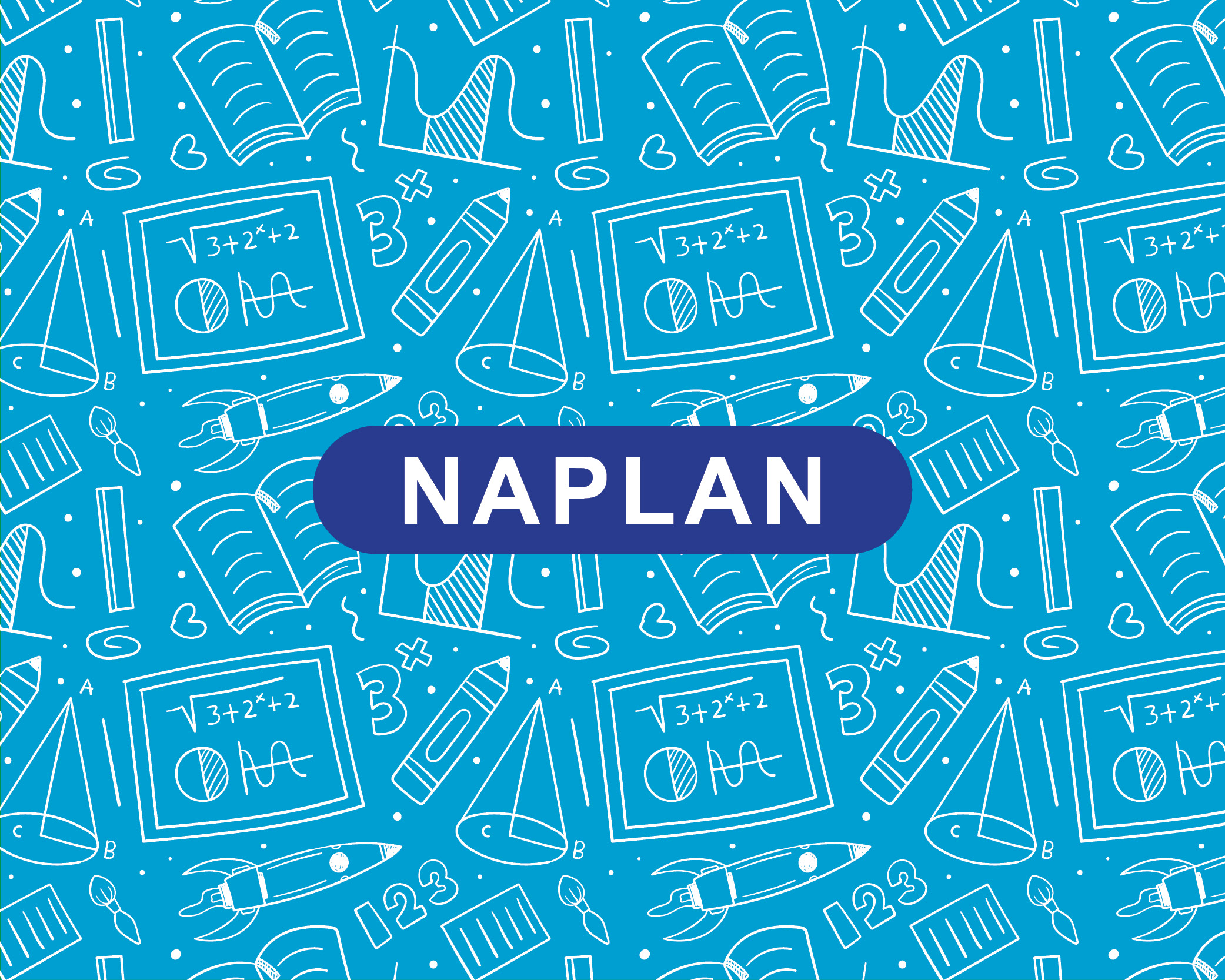 NAPLAN-web tile.jpg